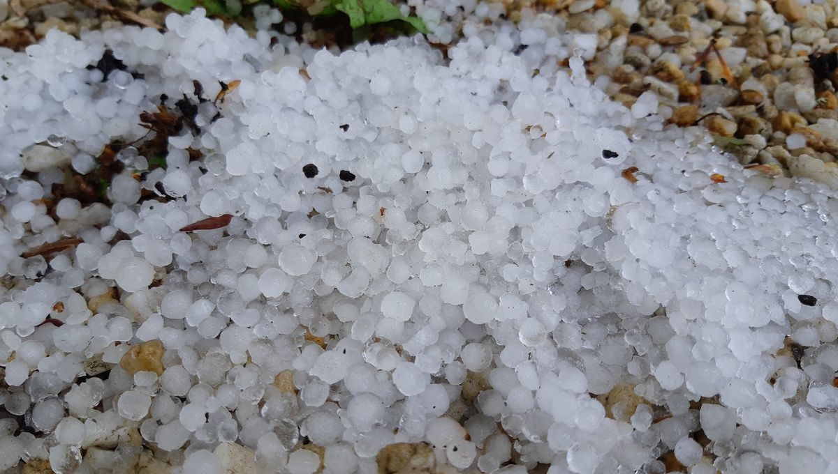 découvrez les conséquences du déluge de grêle qui a frappé l'île-de-france, une tempête intense ayant causé des dommages considérables. informez-vous sur les zones touchées, les impacts sur les infrastructures et les efforts de nettoyage en cours.
