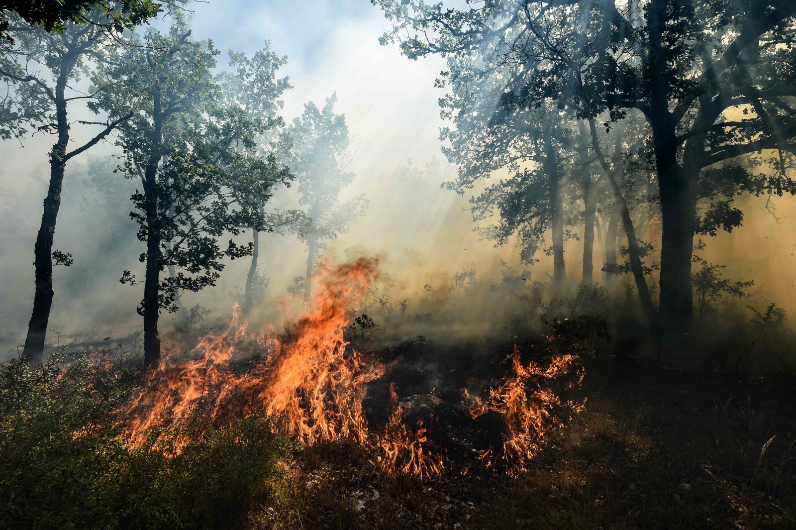 découvrez les détails de l'incendie impliquant une tesla dans le béarn. quelles sont les causes de cet incident et quels impacts sur la sécurité des véhicules électriques ?