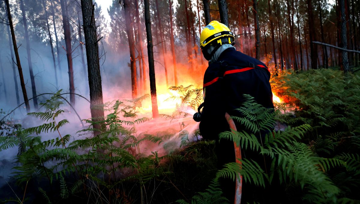 découvrez les détails de l'incendie impliquant une tesla dans le béarn, les circonstances de l'incident, les interventions des pompiers et les impacts sur la communauté locale. restez informé sur les enjeux de sécurité liés aux véhicules électriques.