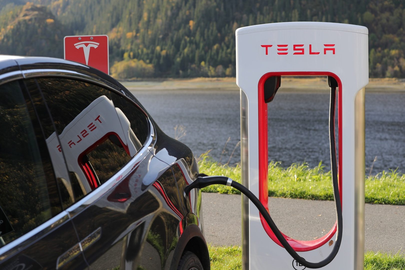 découvrez comment tesla incarne la résilience à travers ses actions innovantes et son engagement envers un avenir durable, tout en surmontant les défis industriels et environnementaux.