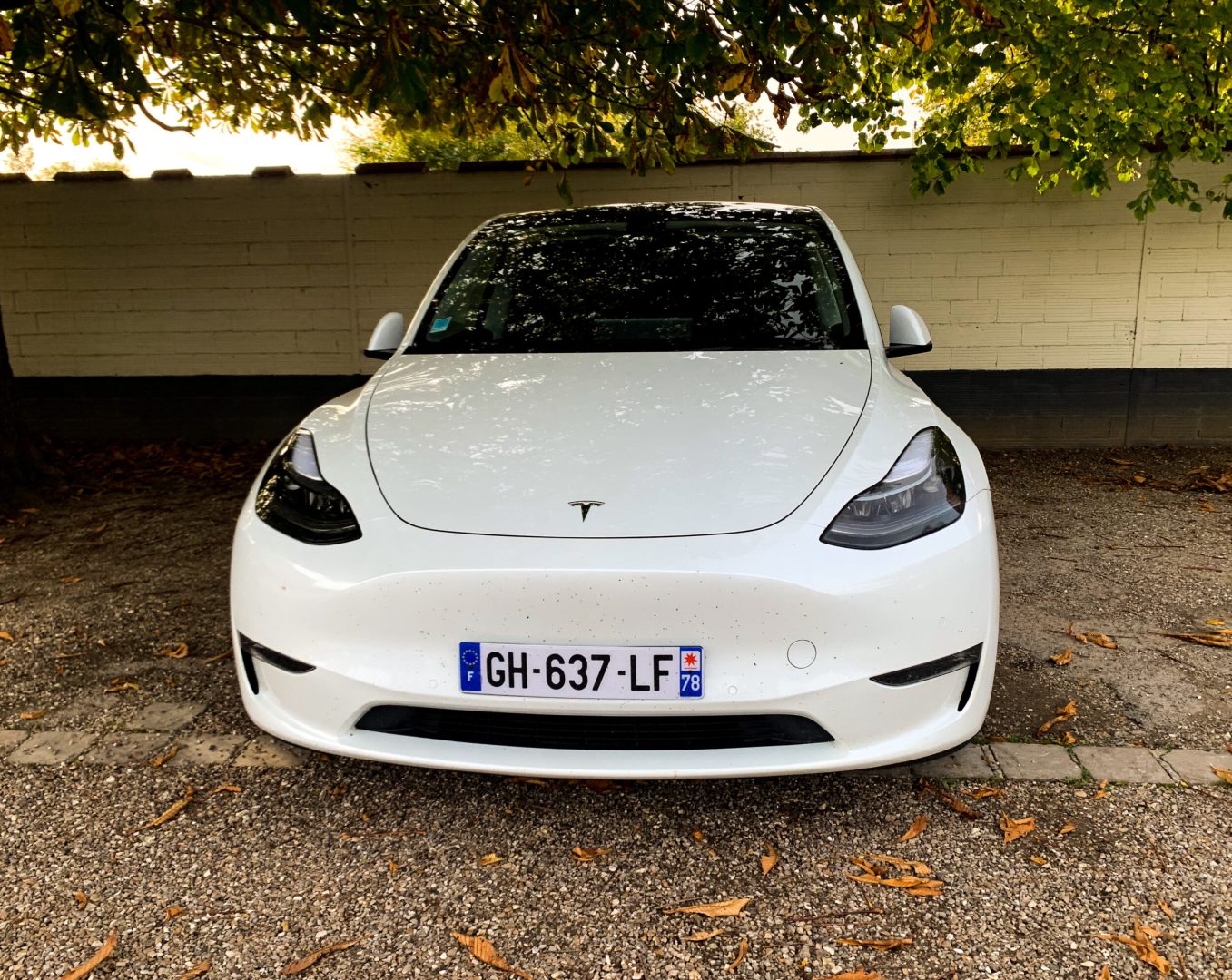 découvrez le tesla y à un prix abordable, alliant performance, technologie de pointe et écologie. profitez d'une conduite électrique sans compromis, idéale pour vos déplacements quotidiens.
