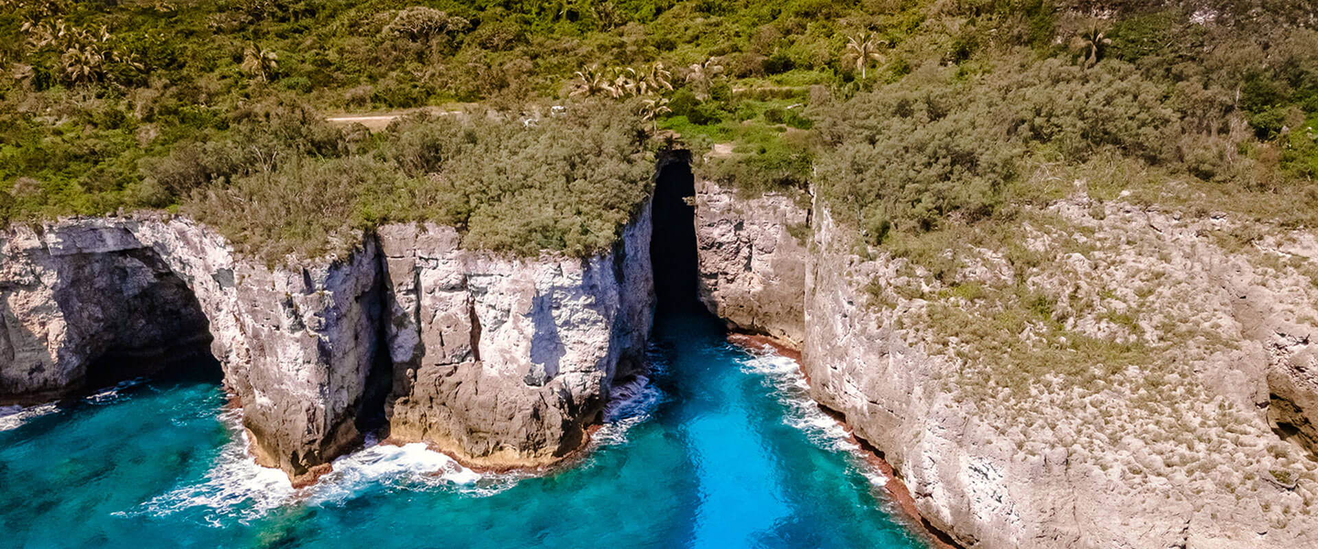 découvrez comment la fidélité excessive envers une marque ou un service automobile peut vous coûter cher. analyse des risques financiers liés à la loyauté auto et conseils pour faire les meilleurs choix.