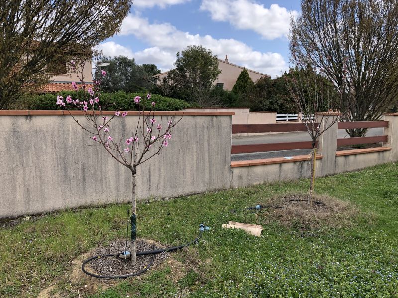 accident nocturne à florange impliquant deux tesla et un qashqai, avec un muret détruit. découvrez les circonstances de cette collision spectaculaire.