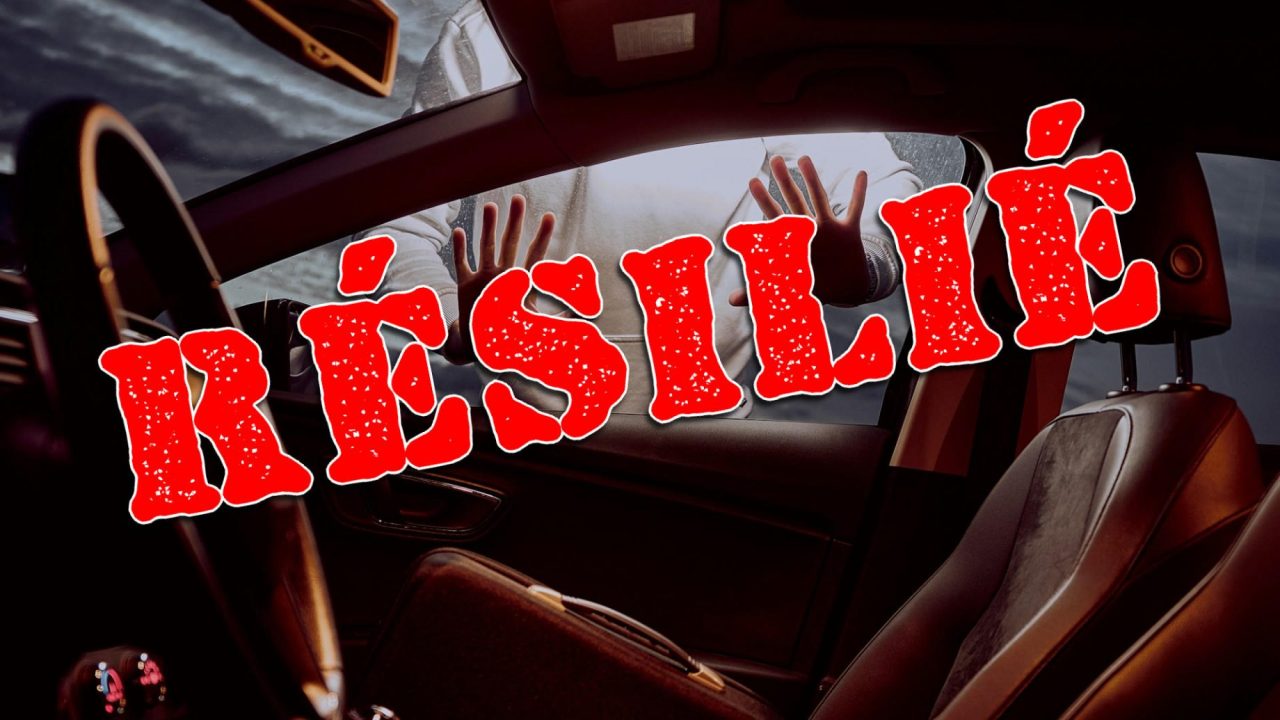 découvrez tout sur l'assurance auto : gestion des risques, contrôles essentiels et procédures d'appel pour mieux protéger votre véhicule.