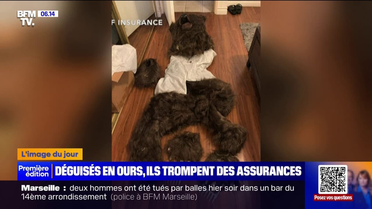 découvrez l'affaire insolite de trois américains déguisés en ours condamnés pour fraude à l'assurance, un cas qui mêle astuce et justice.
