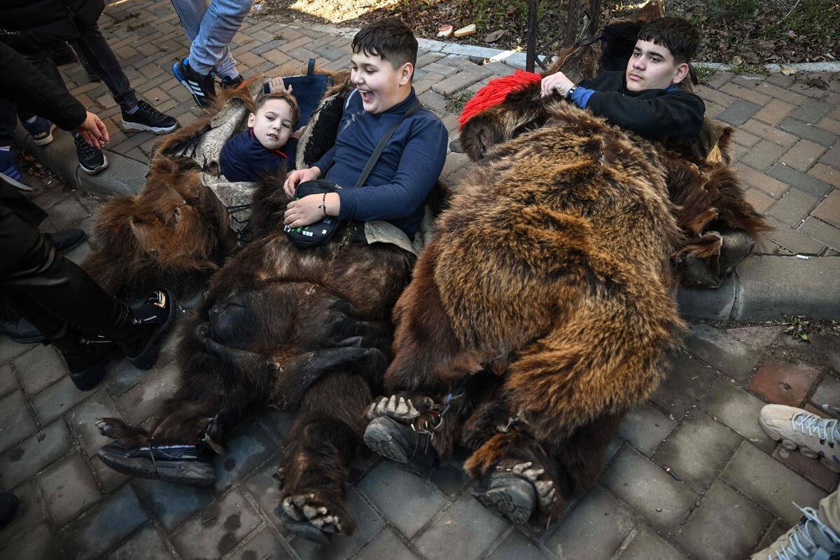 découvrez comment trois américains déguisés en ours ont été condamnés pour une fraude à l'assurance spectaculaire.