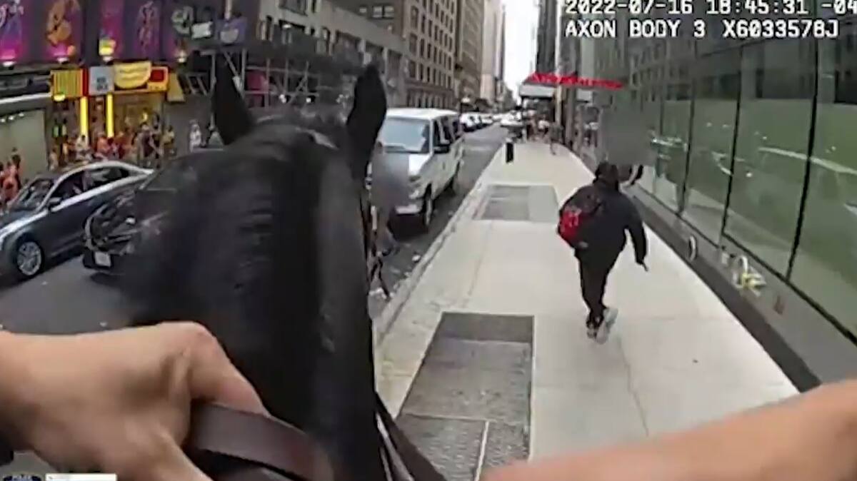 trois personnes condamnées pour des faits impliquant un déguisement d’ours et l'utilisation illégale de voitures de luxe.