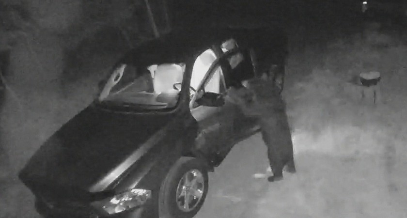 découvrez l'affaire de trois condamnés impliqués dans une mascarade mêlant déguisements d’ours et voitures de luxe, une histoire insolite qui a retenu l’attention judiciaire.